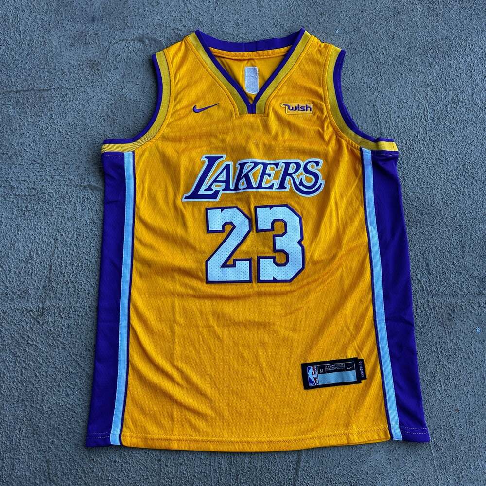 Nike Los Angeles Lakers LeBron James #23 Swingman Jersey with Wish Patch